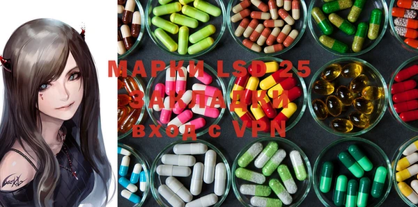 бошки Новодвинск