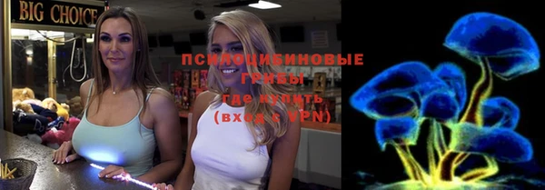 дмт Нефтекумск