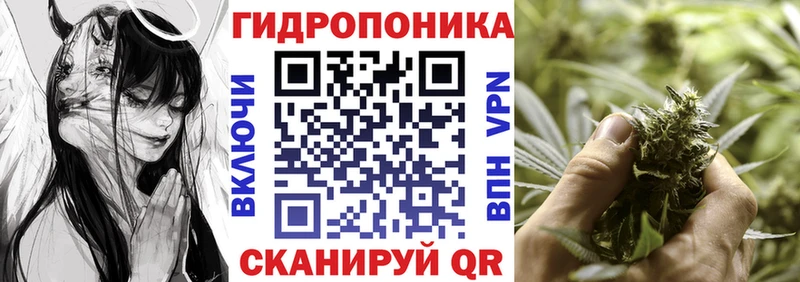 Купить закладки  Калуга  Канабис тримм 